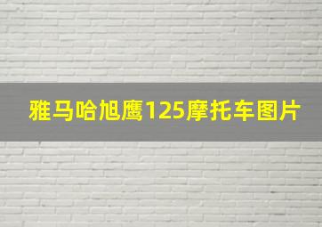 雅马哈旭鹰125摩托车图片