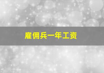 雇佣兵一年工资