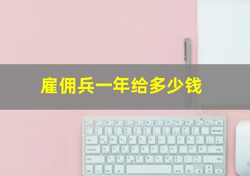 雇佣兵一年给多少钱