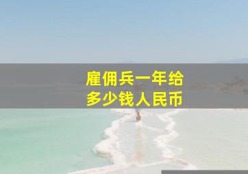 雇佣兵一年给多少钱人民币