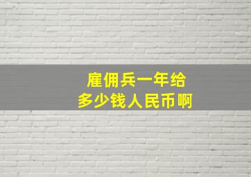 雇佣兵一年给多少钱人民币啊