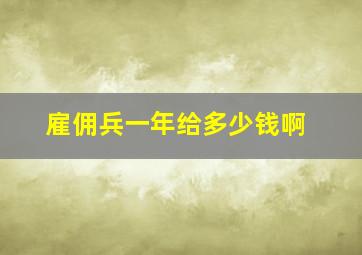 雇佣兵一年给多少钱啊