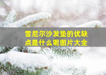 雪尼尔沙发垫的优缺点是什么呢图片大全