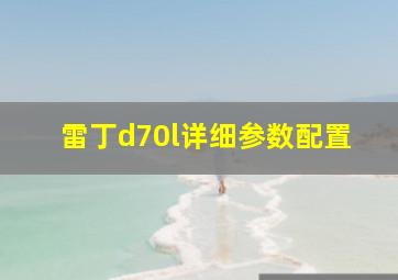 雷丁d70l详细参数配置