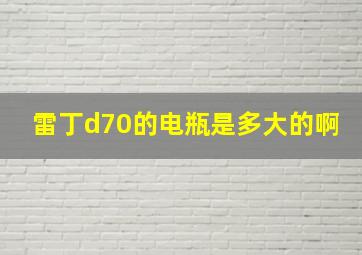 雷丁d70的电瓶是多大的啊