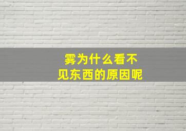 雾为什么看不见东西的原因呢