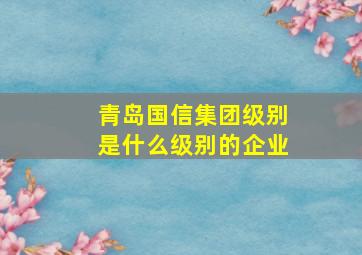 青岛国信集团级别是什么级别的企业