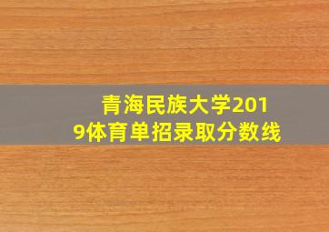 青海民族大学2019体育单招录取分数线