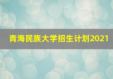 青海民族大学招生计划2021