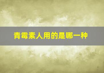 青霉素人用的是哪一种