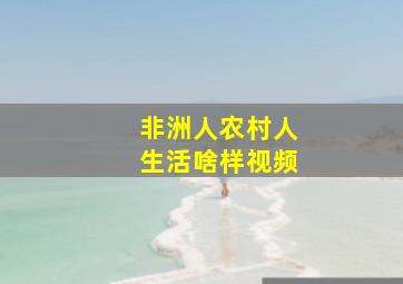 非洲人农村人生活啥样视频