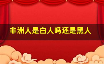 非洲人是白人吗还是黑人