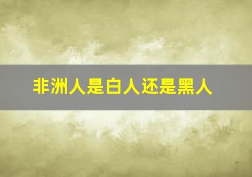 非洲人是白人还是黑人