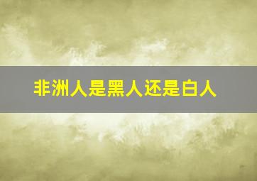 非洲人是黑人还是白人