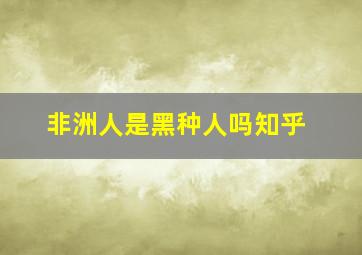 非洲人是黑种人吗知乎