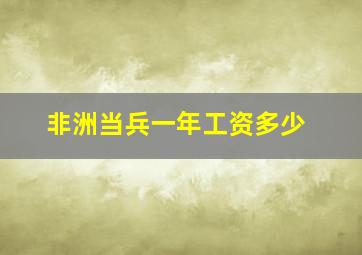 非洲当兵一年工资多少