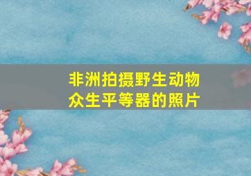 非洲拍摄野生动物众生平等器的照片