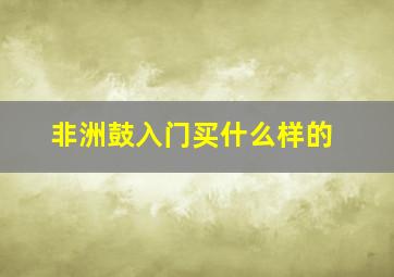 非洲鼓入门买什么样的