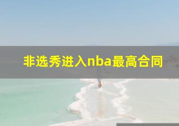 非选秀进入nba最高合同