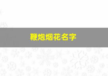 鞭炮烟花名字