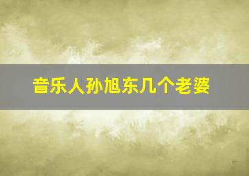 音乐人孙旭东几个老婆