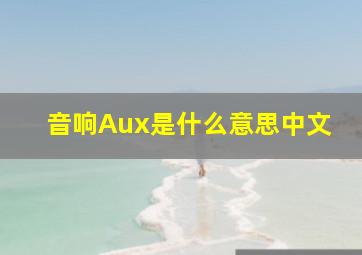 音响Aux是什么意思中文