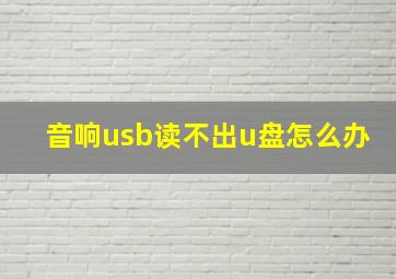 音响usb读不出u盘怎么办