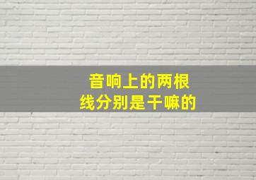 音响上的两根线分别是干嘛的