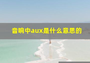 音响中aux是什么意思的