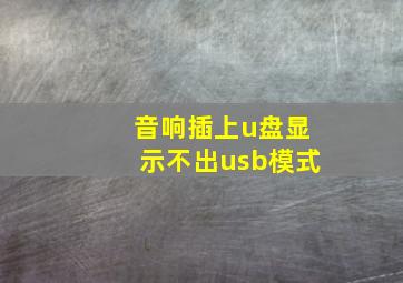 音响插上u盘显示不出usb模式