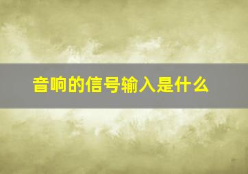 音响的信号输入是什么