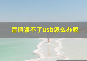 音响读不了usb怎么办呢