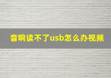 音响读不了usb怎么办视频