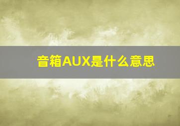 音箱AUX是什么意思