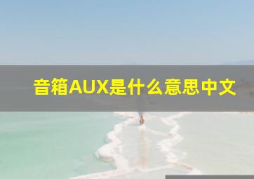 音箱AUX是什么意思中文