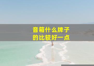 音箱什么牌子的比较好一点