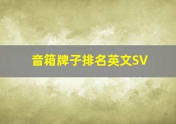 音箱牌子排名英文SV