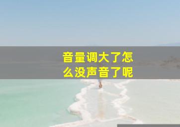 音量调大了怎么没声音了呢