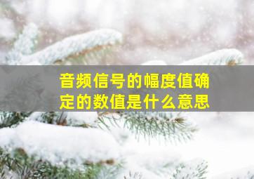 音频信号的幅度值确定的数值是什么意思