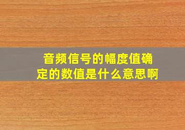 音频信号的幅度值确定的数值是什么意思啊