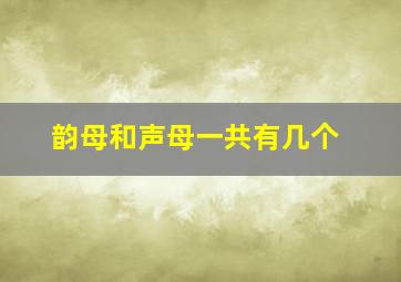 韵母和声母一共有几个