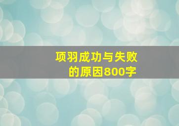 项羽成功与失败的原因800字