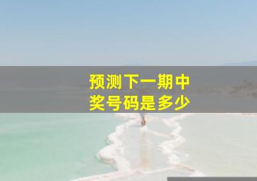 预测下一期中奖号码是多少