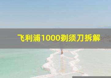 飞利浦1000剃须刀拆解