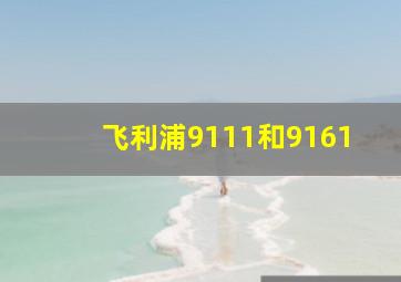 飞利浦9111和9161