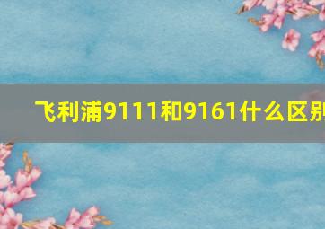 飞利浦9111和9161什么区别