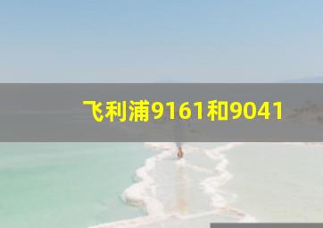 飞利浦9161和9041