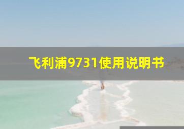 飞利浦9731使用说明书