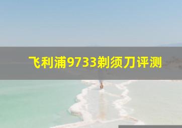 飞利浦9733剃须刀评测