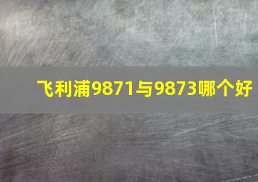 飞利浦9871与9873哪个好